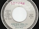 Junior Byles - Can You Feel It - KILLER ROOTS