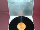 IL ROVESCIO DELLA MEDAGLIA contamination LP prog RCA tpl 1-1049 orange