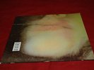 PJ Harvey - Dry  12' vinyl  LP record IMPORT Too Pure 10 Rare version 1992
