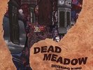 Dead Meadow SHIVERING KING and OTHERS MINT 2003 PRESSING 2xLp Gatefold Jacket
