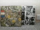THE STONE ROSES  