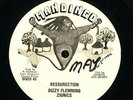 Dizzy Flemming Zionics 
