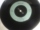 Record Uk Subs 45 Party in Paris (one sided) Limited Edition