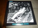 SPAZZ Dwarf Jester Rising lp  ORIGINAL PRESS on CLEARVIEW  rare Infest