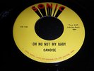 CANOISE - Oh NO NOT MY BABY - SONIC