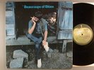 Ringo Starr  Beaucoups Of Blues