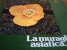BRUNO NICOLAI - LA MURAGLIA ASIATICA - RARE ITALIAN LOUNGE LIBRARY ON EDIPAN REC