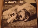Folkways Records A Dog's Life by Tony Schwartz -  with insert