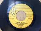 The Supremes   early motown soul I Want A Guy/Never Again   Tamla