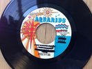 the Soul In-pressions   70s sweet soul funk 45 Girl Don't Worry/Zing   Aquarius