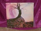 TROUBLE  LP EXCELLENT METAL WHITE VINYL WITH INSERT