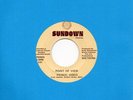 POINT OF VIEW frisco disco / why don't you SUNDOWN modern soul funk 45 RARE Hear