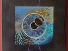 Pink Floyd -- Pulse -- 4LP Boxset -- top Zustand