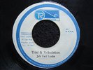 TRIAL  &  TRIBULATION  /  JAH  EARL  LOCKS  /  orig  GROOVEMASTER  7 in  1978