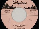 SCOTT BROTHERS “Part of You” doo wop group 45 on SKYLINE nm HEAR