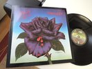 THIN LIZZY BLACK ROSE IN MINT MUSEUM QUALITY AUS ARCHIV