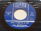 Northern Soul -The Rotations - 