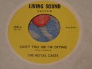 ROYAL CASTE blues lovin' woman 45 GARAGE PRIVATE UNKNOWN LIVING SOUND CUSTOM 6