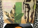 CAPRICORN COLLAGE -LP DI PRIMAVERA-KANSAS-1974-DISCHI VINILE 33 GIRI 12