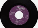 THEODIS EALEY-DEEPEST SYMPATHY- CHELAN 45#1003 -  NORTHERN SOUL / FUNK- HEAR MP3