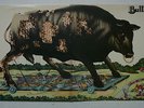 BULL ANGUS MINT Psych ROCK LP ORGIGINAL ISSUE PLAYED ONCE