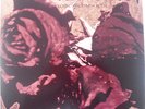 LP ATROCITY todessehnsucht von1992 ROAD RUNNER RECORDS bolt thrower, anathema