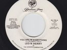 Modern Soul Boogie 45 - Leo & Sherry - My Everything - Barbara Jean - mp3 - rare