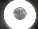  7 INCH LIMITED REPRESS  LINGER ON - PRINCE BUSTER
