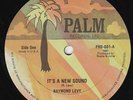 Raymond Levy - It's A New Sound - KILLER ROOTS 12