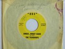 The Teardrops RARE Sweet Sweet Sadie  Mod Freakbeat Dance Monster  Decca Promo