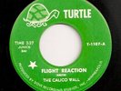 CALICO WALL Flight Reaction TURTLE 1107 rare Midwestern garage psych HEAR