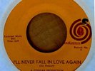 NORTHERN SOUL - BOBBY FREEMAN - I'LL NEVER FALL IN LOVE AGAIN - AUTUMN 45