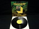 THEM: In Reality Orig. Happy Tiger Vinyl LP Fuzz Psych Garage Post Van Morrison