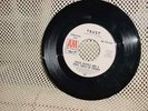 Roger Nichols & Small Circle of Friends 45(A&M)60s rock