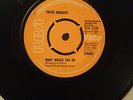 Fresh Maggots Car Song / What Would You Do (Demo) UK RCA 2150 (1971)
