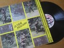 JUNIOR DELGADO: BUSHMASTER REVOLUTION - RARE 1982 VINYL REGGAE LP