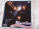 Bliss N Eso 