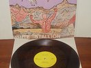 RAW ENERGY-White Stallion M-LP RARE PRIVATE US METAL