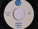 rare Modern Soul 45 SONRIZE feeling EARTH Listen