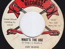 JOEY IRVING What's The Use RARE funk 45 northern soul DON'T THROW OUR LOVE AWAY