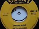 BOBBY DAVIS & THE SENSATION / DOGGONE RIGHT / LISTEN
