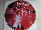 THE DIVINYLS - What A Life,   PROMO ONLY, PICTURE DISC    ...AS NEW MINT