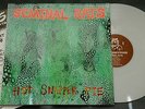 Seminal Rats-Hot Snapper Pie,  Melbourne based Indi- Punk Fuss   UNPLEYED  TOP