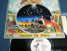 LP WATERFALL, Beneath the stars Vinyl 1981 Folk Prog Gundog  Mellow Candle