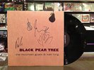 Mountain Goats & Kaki King 