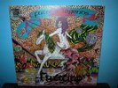 FRUUPP  Future Legends  LP    UK pressing    prog