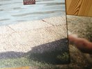 Matula - Blinker Vinyl LP (antitainment captain planet adolar muff potter tomte)