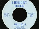 Sweet/Northern Soul 45   Dream Team   There He Is   Gregory   mp3 RARE