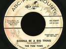 Northern Soul 45   Yum Yums   Gonna Be A Big Thing   ABC-Paramount   mp3 RARE