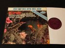 Mercury Living Presence SR90153-Dorati-LSO-Respoghi-The Birds LP-FR1/FR1-CLEAN